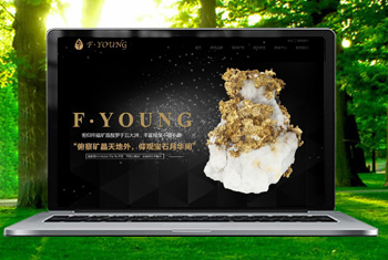 ��ƽ�������ﱦʯ